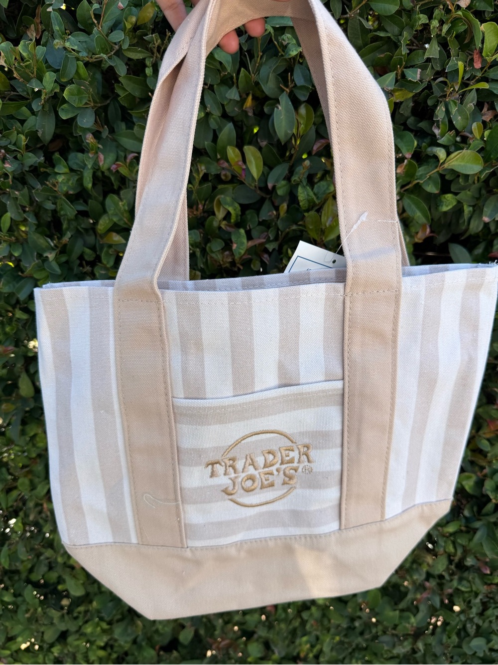 Beige Stripe Canvas Tote Bag